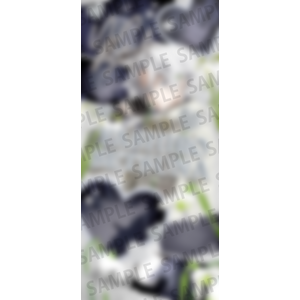 【『華Doll* -Reinterpretation of Flowering-』スペシャルトークイベント】選べる個別メンバー複製サイン入り画像付きプラン（八代刹那）＊金額は1口分