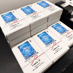 【宮城】ハコニワリリィ Live Tour 2026『箱庭トレジャークルーズ』ケータリングなど＊金額は1口分